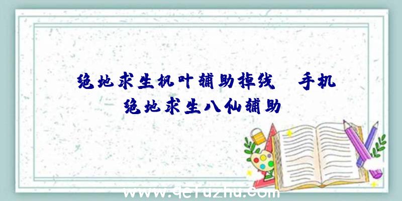 「绝地求生枫叶辅助掉线」|手机绝地求生八仙辅助